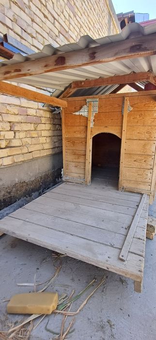 Домик итлар учун.  Келишилган холда