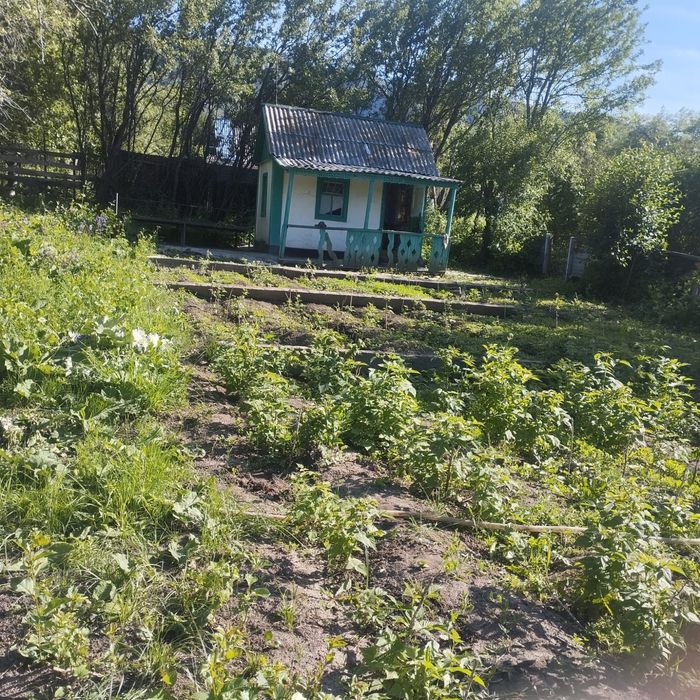 Продается Дача в городе Текели