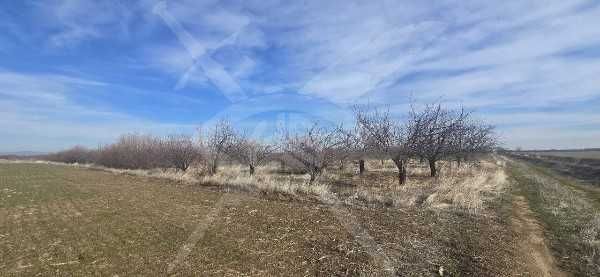 Земеделска земя в Китното селце Цалапица!