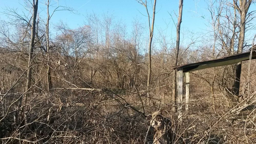 Парцел 1042 м2, село Щипско