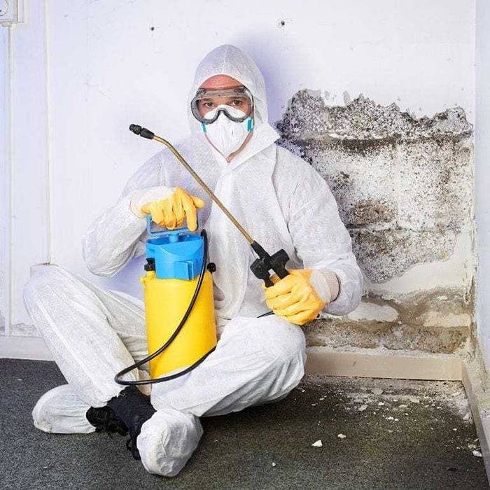 Dezinfeksiya | dizinfeksiya | дезинфекция | дизинфекция |klapa |