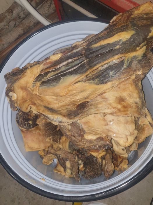 Мясо конина (для корма собак)