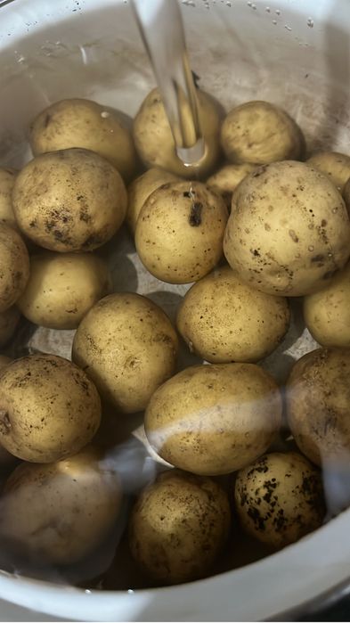 Дача 19 маршрут 7 соток