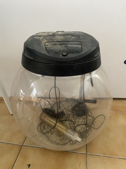 Acvariu rotund si dreptunghi!