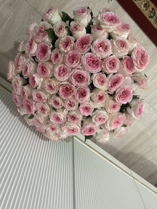 Цветы , розы 64шт