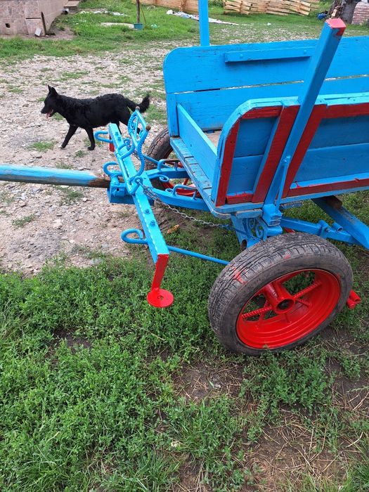 Vand căruță .pt un cal sau doi