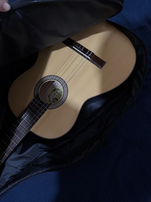 Chitara Hora reghin 4/4