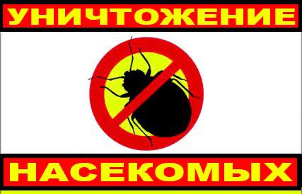 Дезенфекция дизенфекция дезинфекция дизинфекция dizinfeksiya