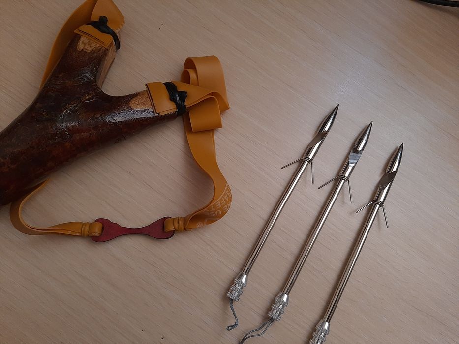 Sageti sageata prastie pescuit