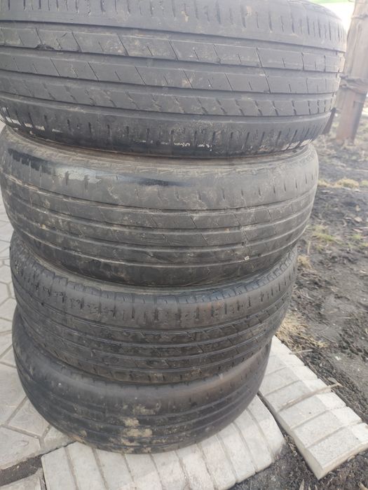 205 60 р16 летние