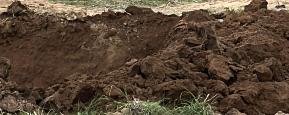 Чернозем чернозём көң кон перегной навоз