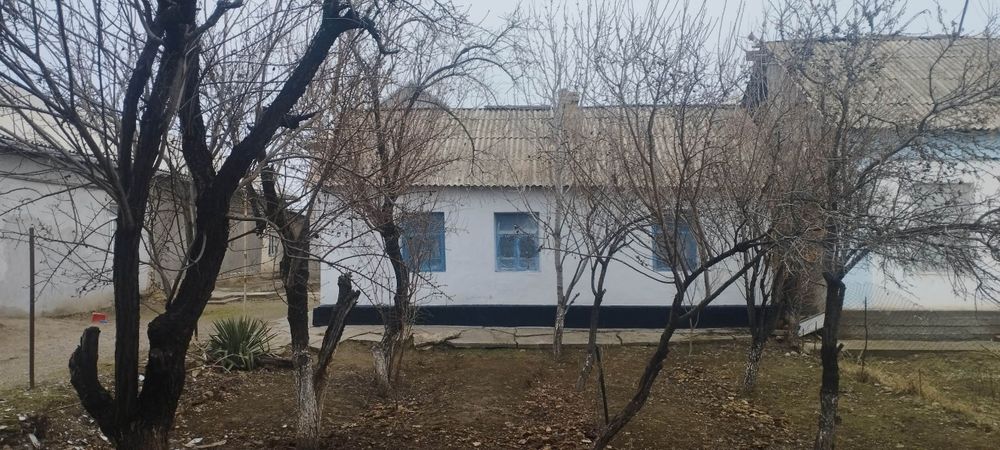 Sirdaryo Shaxar uy sotladi