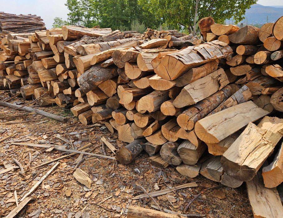 Дърва за огрев от 70€ реален кубик