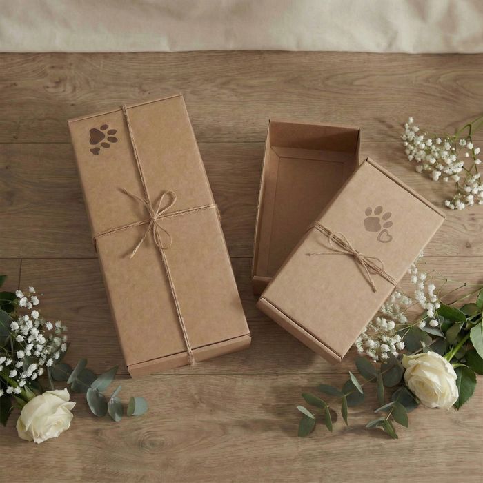 Ковчег за домашни любимци