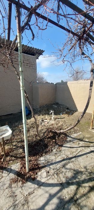 Дача  в обществе Восход