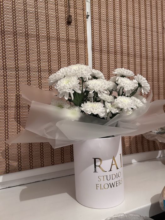 Гүл:хризантема бағасы 8000тг