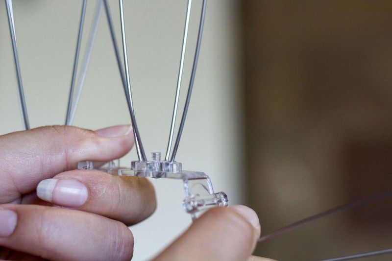 Шипове против лястовици и гълъби