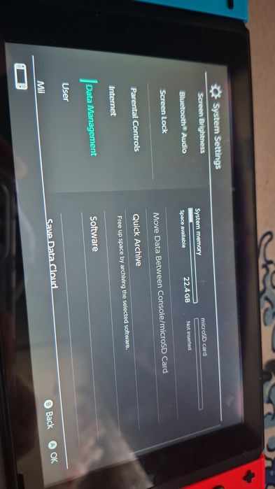 Nintendo switch banat online