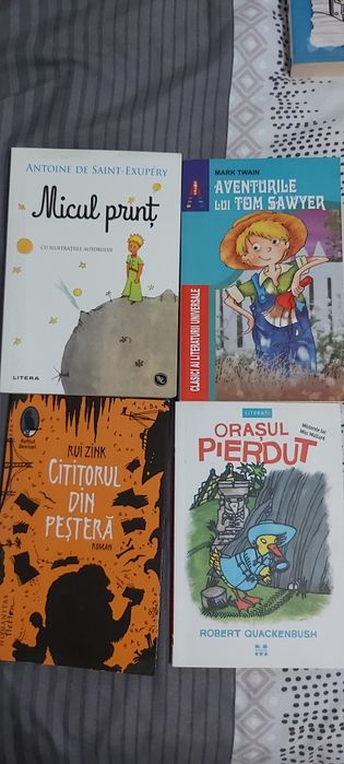 Carti copii/adolescenti, lectura scoala: multe carti