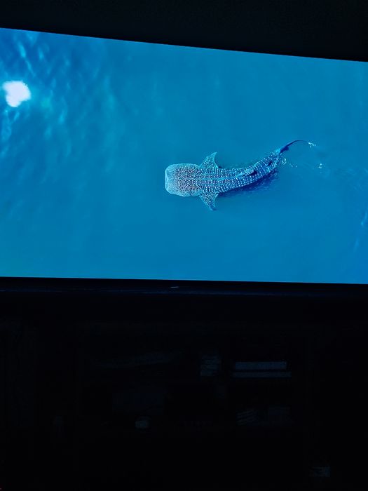 VAND SMART TV LG OLED G4 model premium 2024