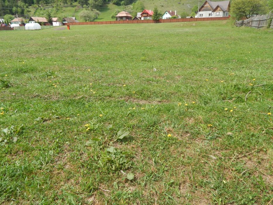 Vand teren  intravilan la munte