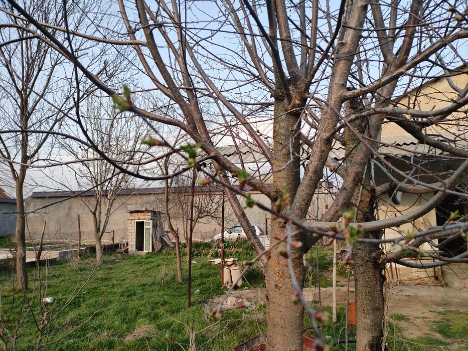 Dacha, dalahovli. Yangitul, golubiye ozera. 6 sotok 2 etaj, 4 hona