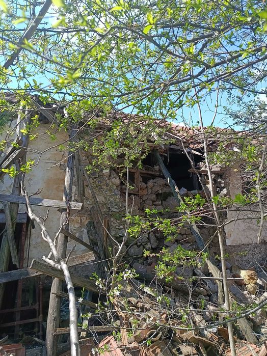 Продава се Къща в с. Брягово, Област Пловдив - 60 кв.м за 68 €/кв.м - Снимка #3