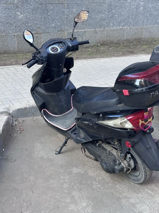 Мопед M8 документ бар