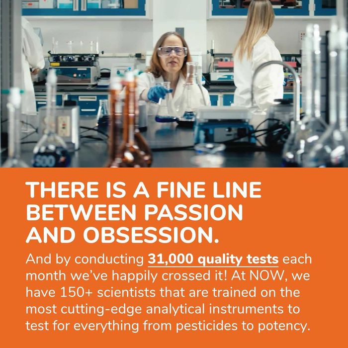 NOW Sunflower Lecithin – Поддержка нервной системы и здоровья клеток