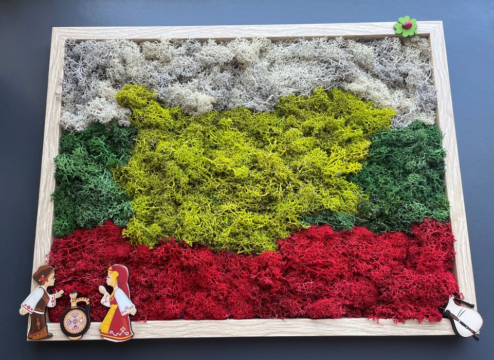 Картина България от естествен мъх
