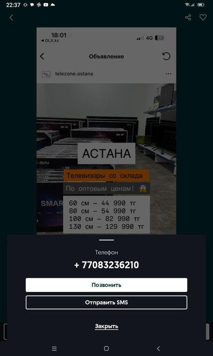 Каштан молодое 2года.