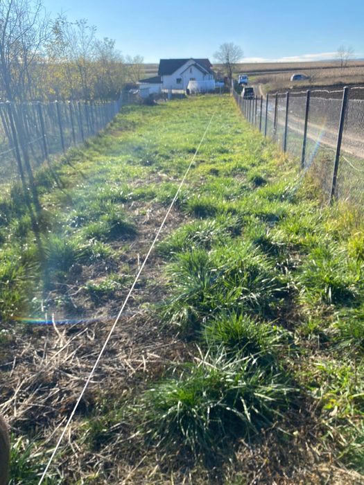 Plantăm livezi, curatare, stropiri!