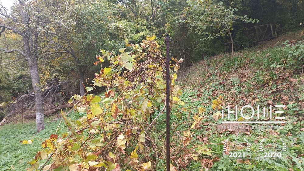 Продава се Къща в Банкя - 90 кв.м за 1334 €/кв.м - Снимка #11