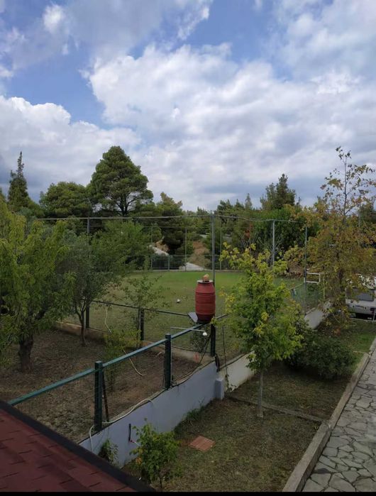 Ексклузивно предложение – къща в Agios Nikolaos, Ситония, Халкидики