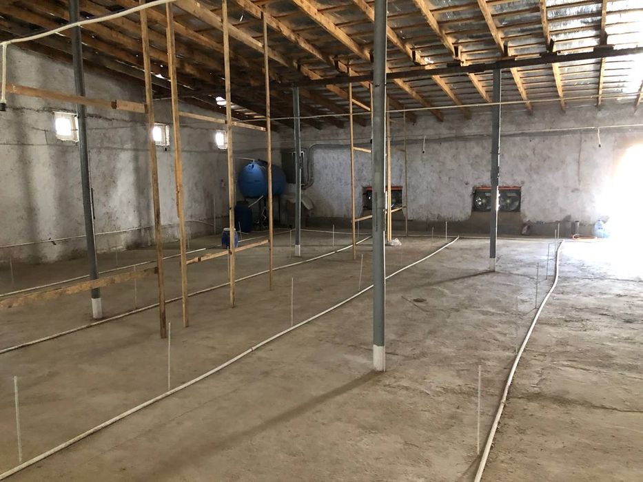 Uchaska tayyor biznes broler jo'ja boqish uchun tayyorjoy xammajixozla