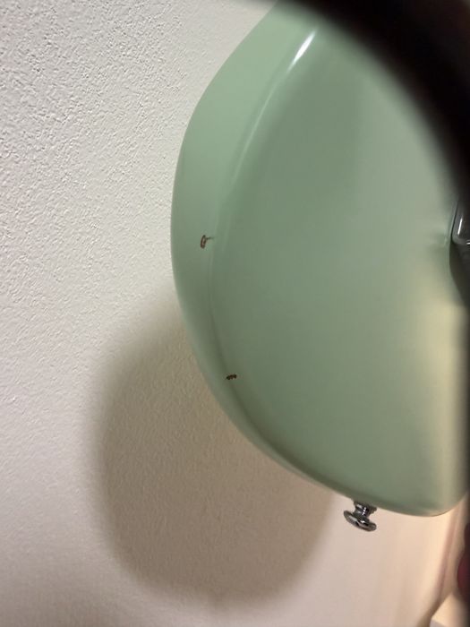 Chitara Fender Stratocaster American Performer HSS