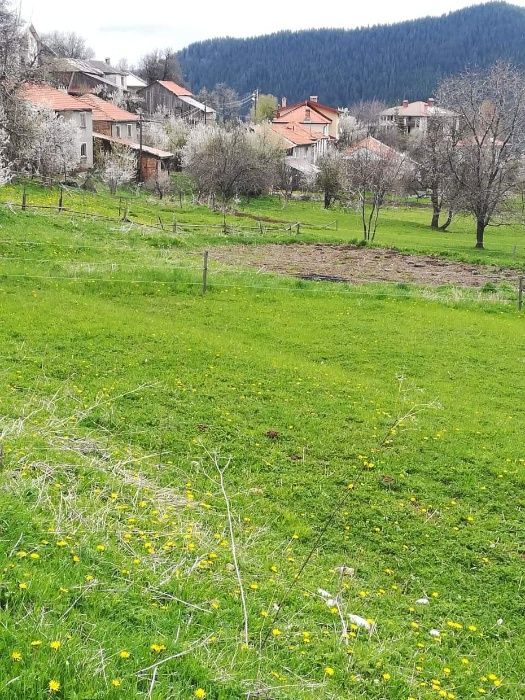 Парцели със страхотна панорама в с. Гела