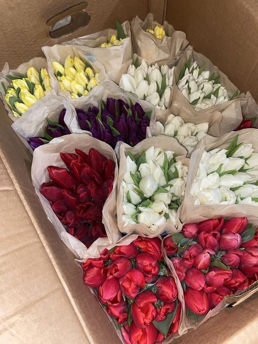 Тюльпаны белорусские премиальные