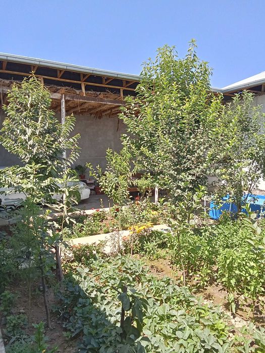 Yuqori chirchiq o'zbekiston mahallasida Tayyor Hovli sotiladi