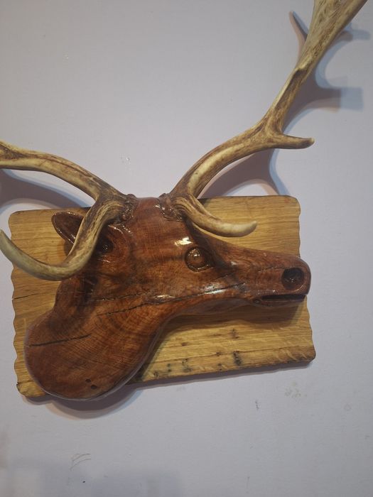 Sculptura Cerb Unicat - Sculptura manuala în stejar pe placa de frasin masiv ( coarne de 50 cm)