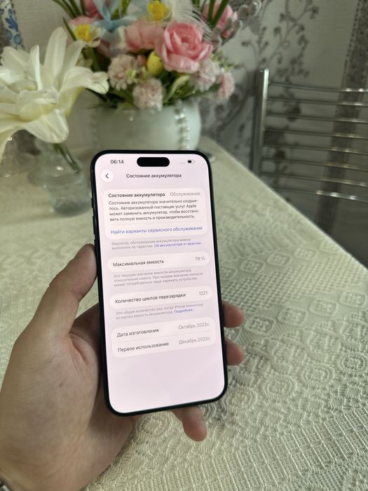 Iphone 15 pro max (256 gb)