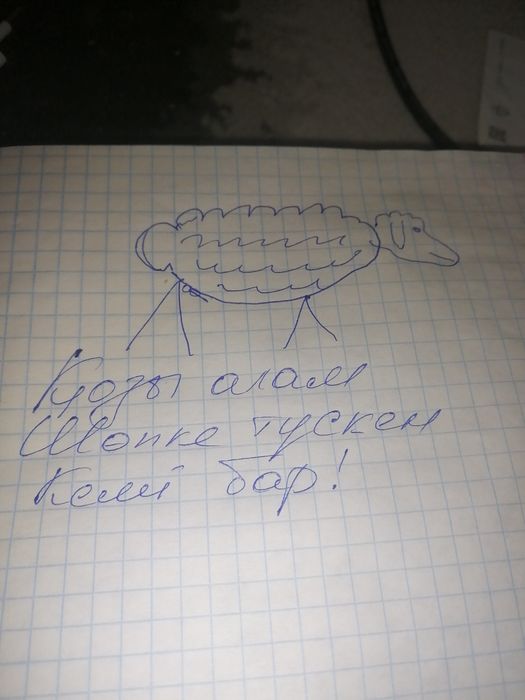 Козы аламын. Договорная