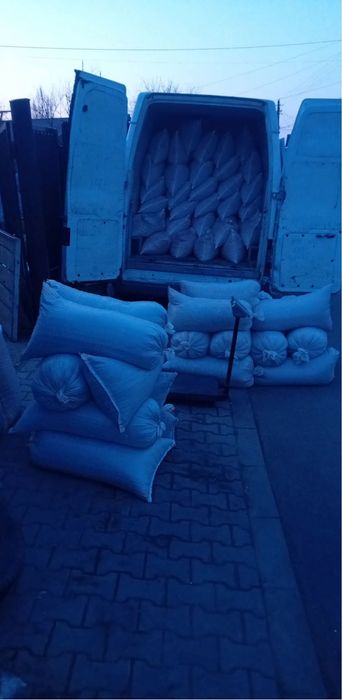 Vand porumb 1,20 lei kg