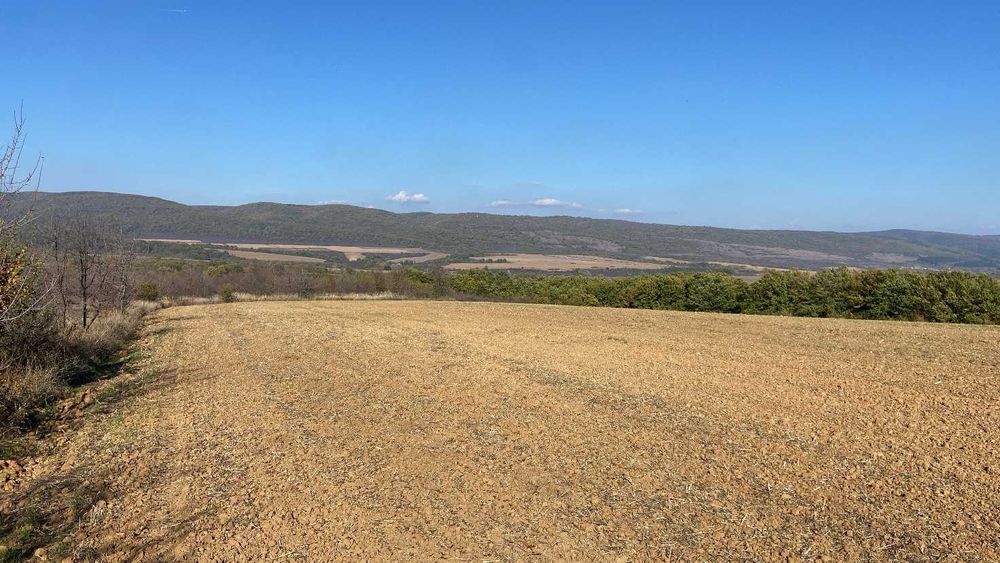 3 Декара Земеделска земя Рента 100 общ. Дългопол обл. Варна