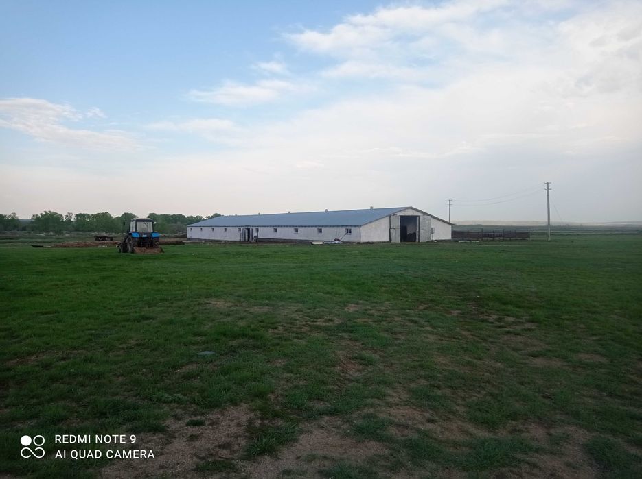 крестьянское хозяйство