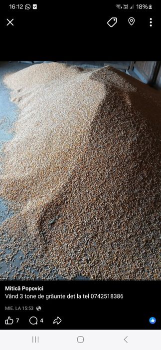 De vânzare grăunte