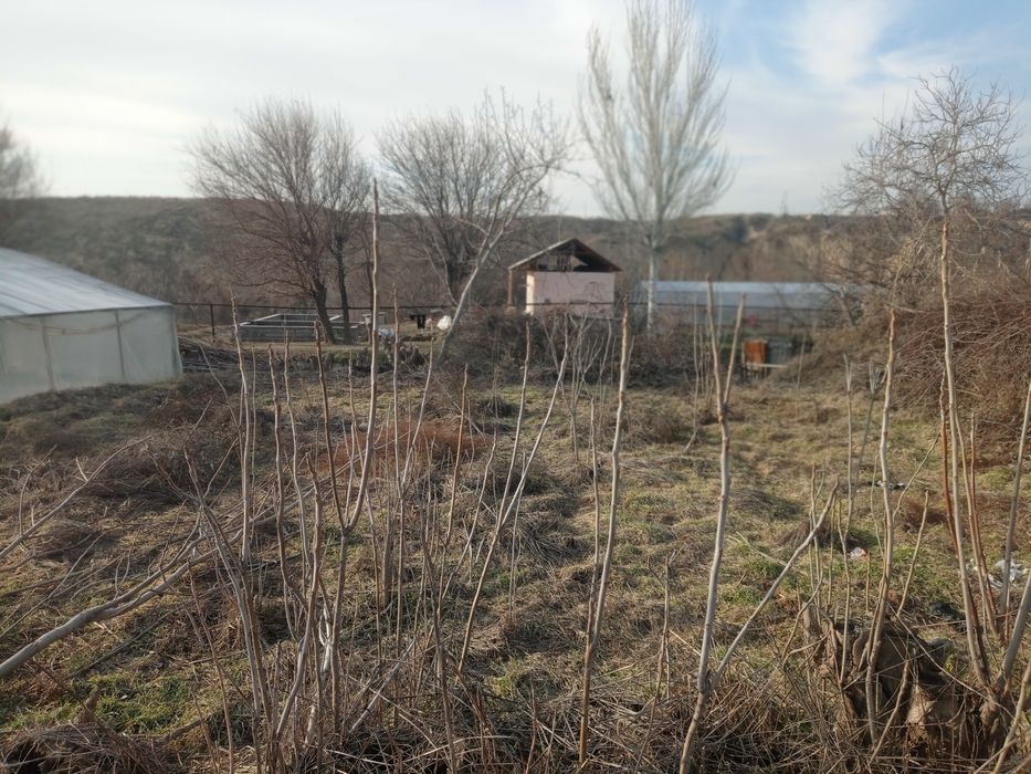 Продаётся Дом с земельным участком для сада