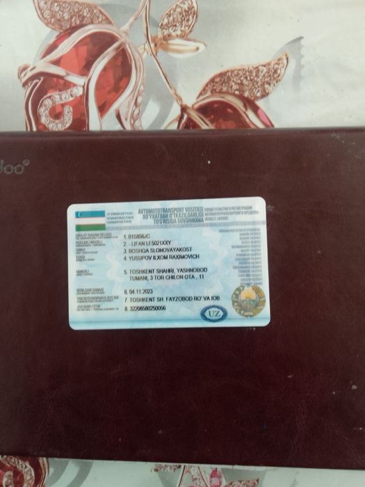 Lifan labo Bortligi 2016 yil