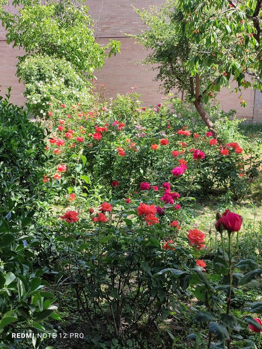 Продаётся дом. Университетский бульвар.