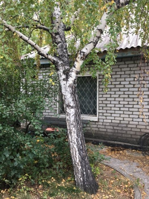 Продам дом полностью благоустроенный